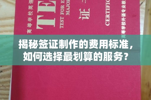 兖州揭秘签证制作的费用标准，如何选择最划算的服务？